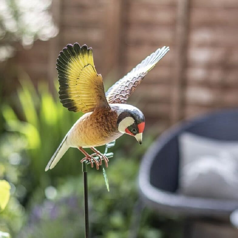 La Hacienda - Hanging Goldfinch