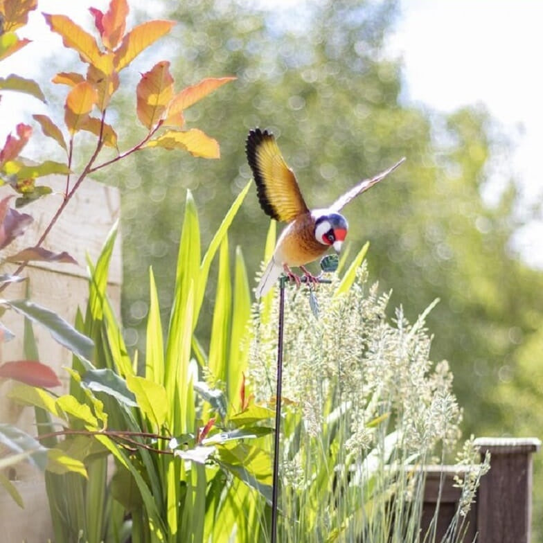 La Hacienda - Hanging Goldfinch