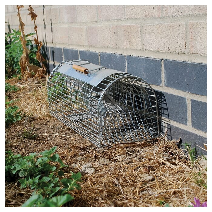 STV  Live Multi-Catch Rat Trap