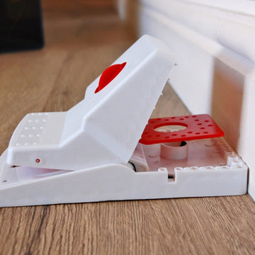 Stv Ready-Baited Xl Rat Trap ehdxb