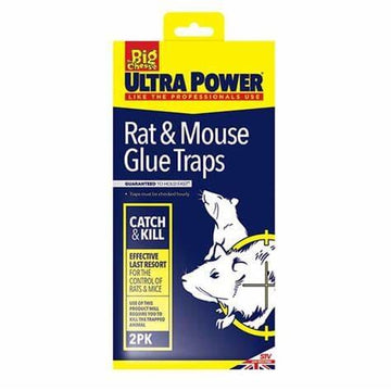 Stv Rat & Mouse Glue Traps - 2 Pack - Eol ehdxb