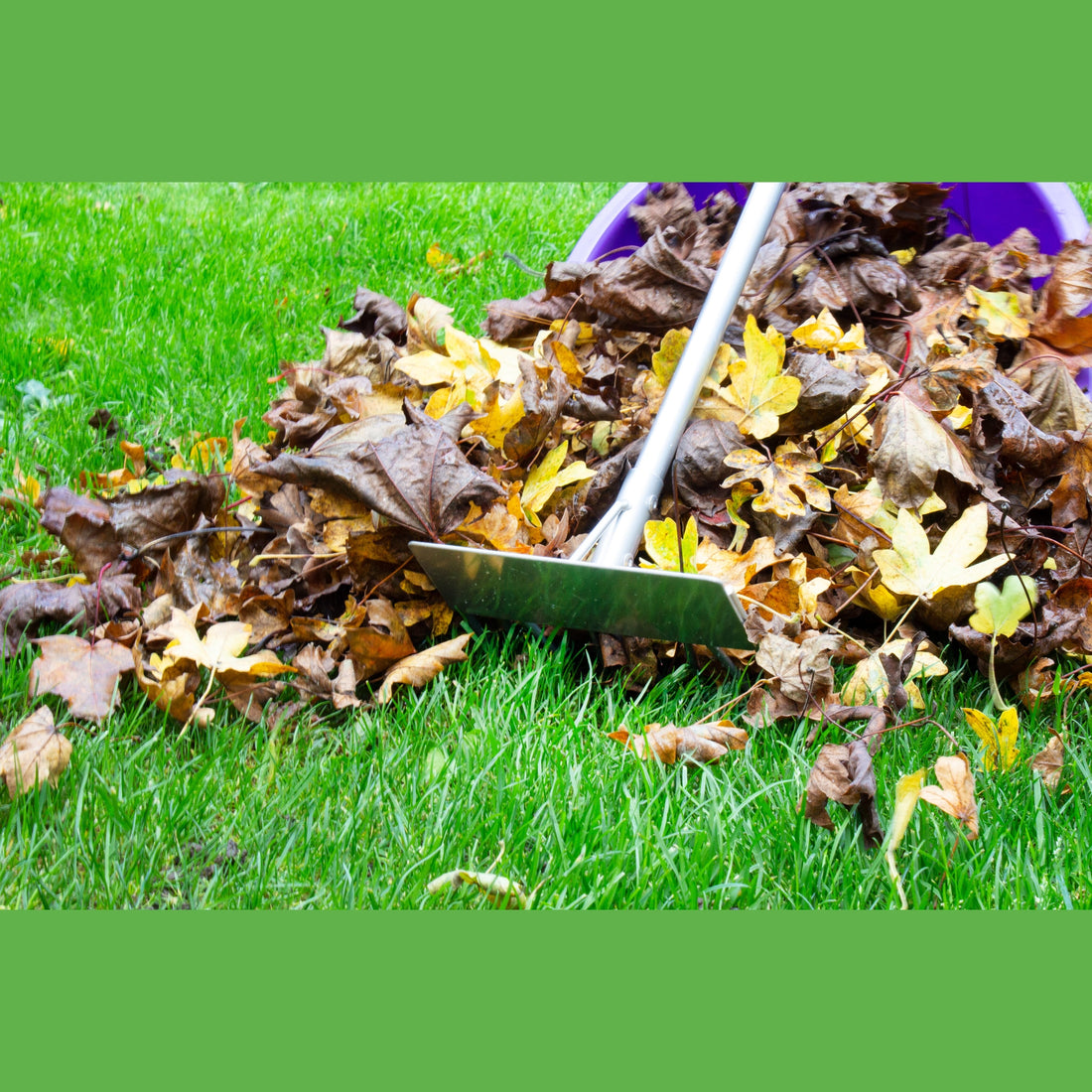 Tidee Companion Set - Pink (Tidee + Rake + Broom)