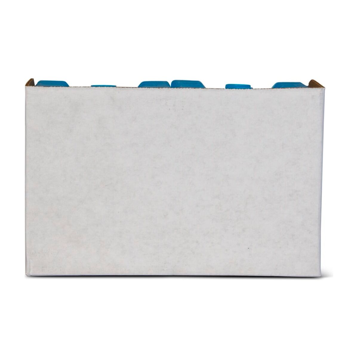 IGLOO-Ice Block Small - Blue  