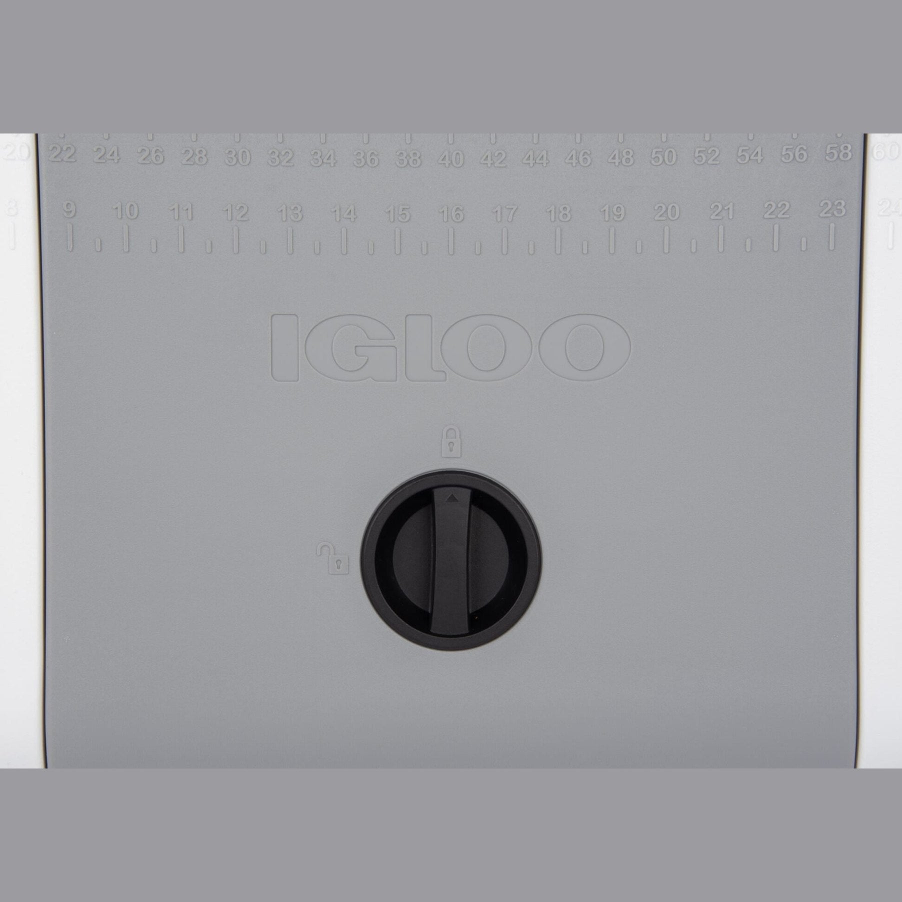 Igloo - Maxcold 165 Cool Box, White - 156 Litres
