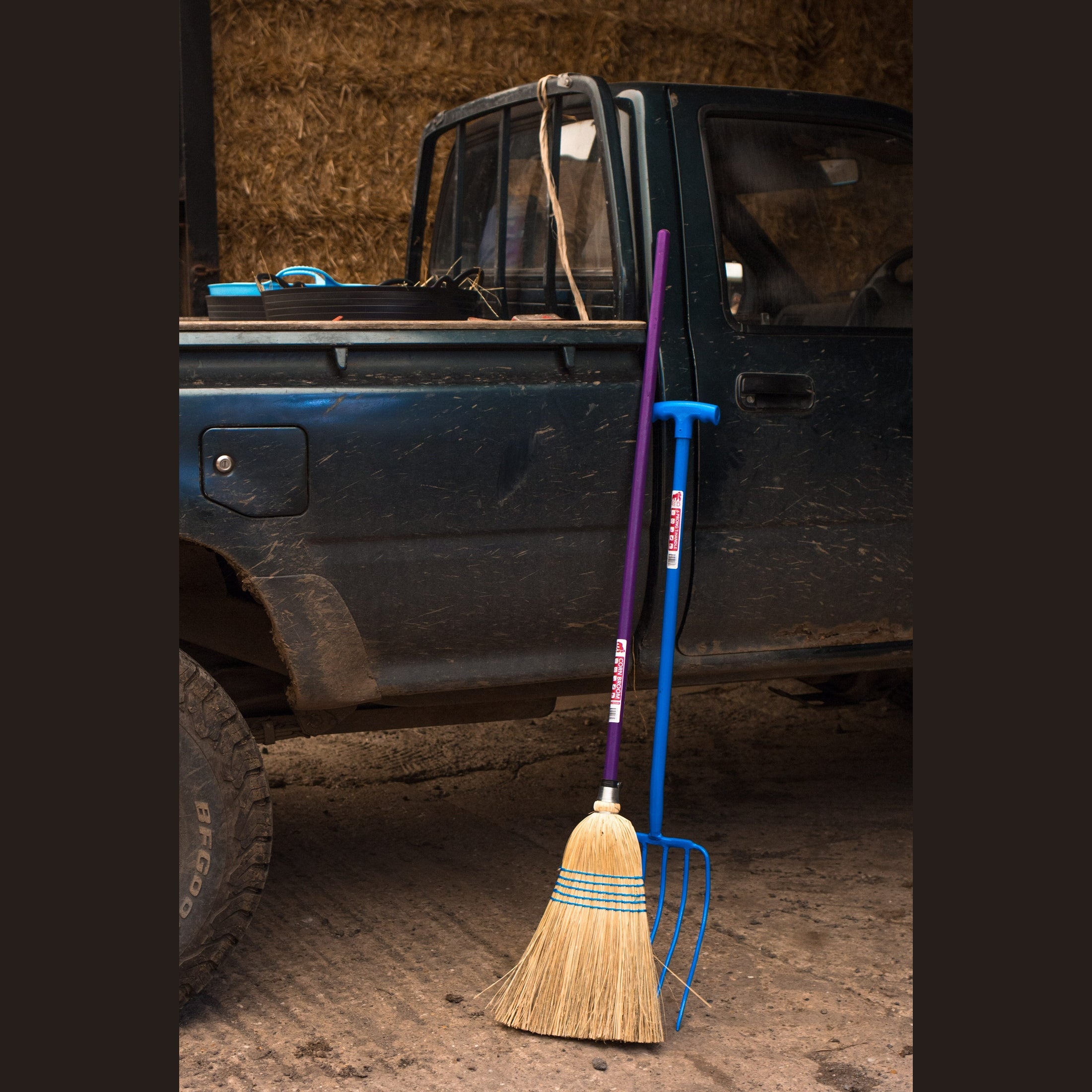 6 Prong Manure Fork - Blue (T-Handle)