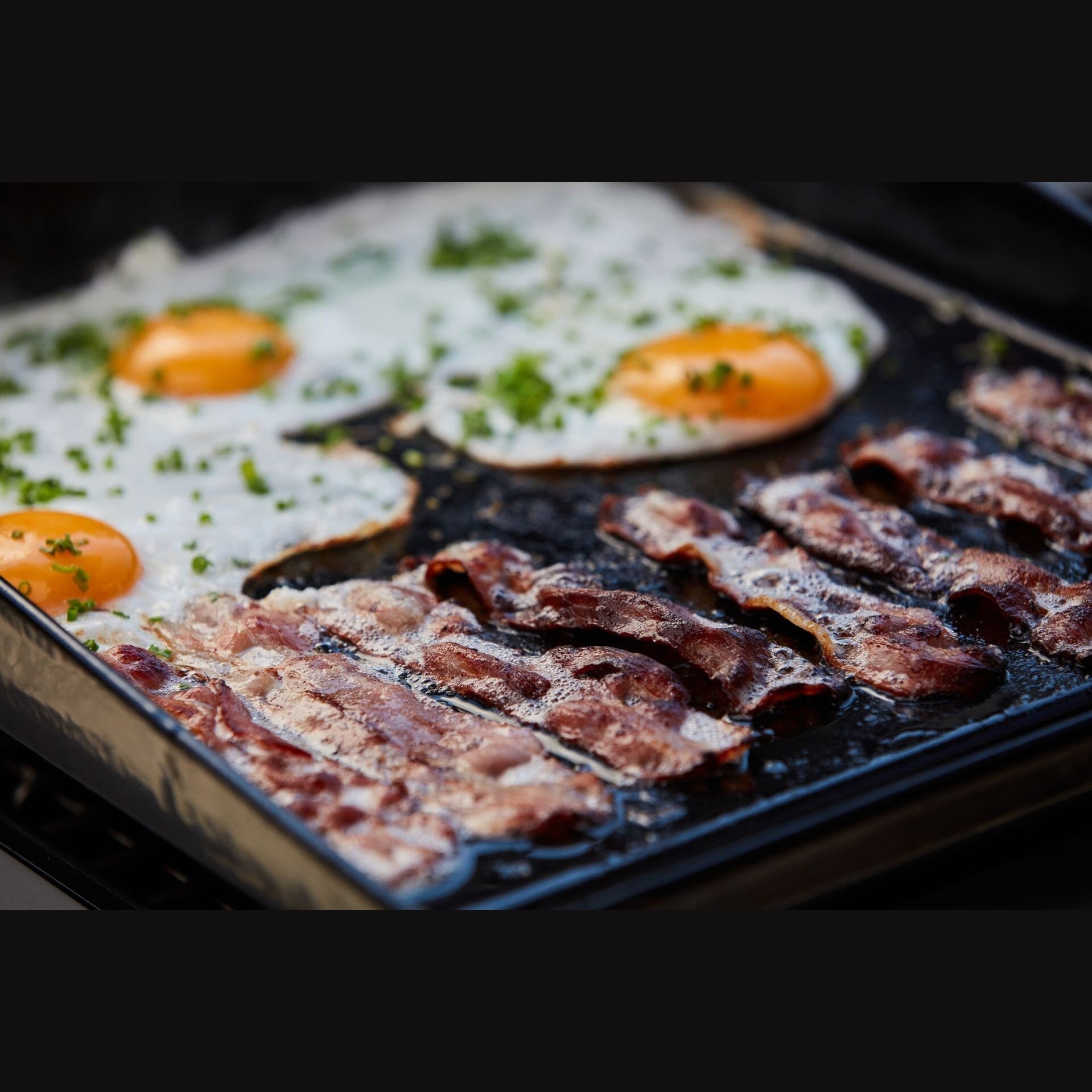 OutdoorChef - PLANCHA L