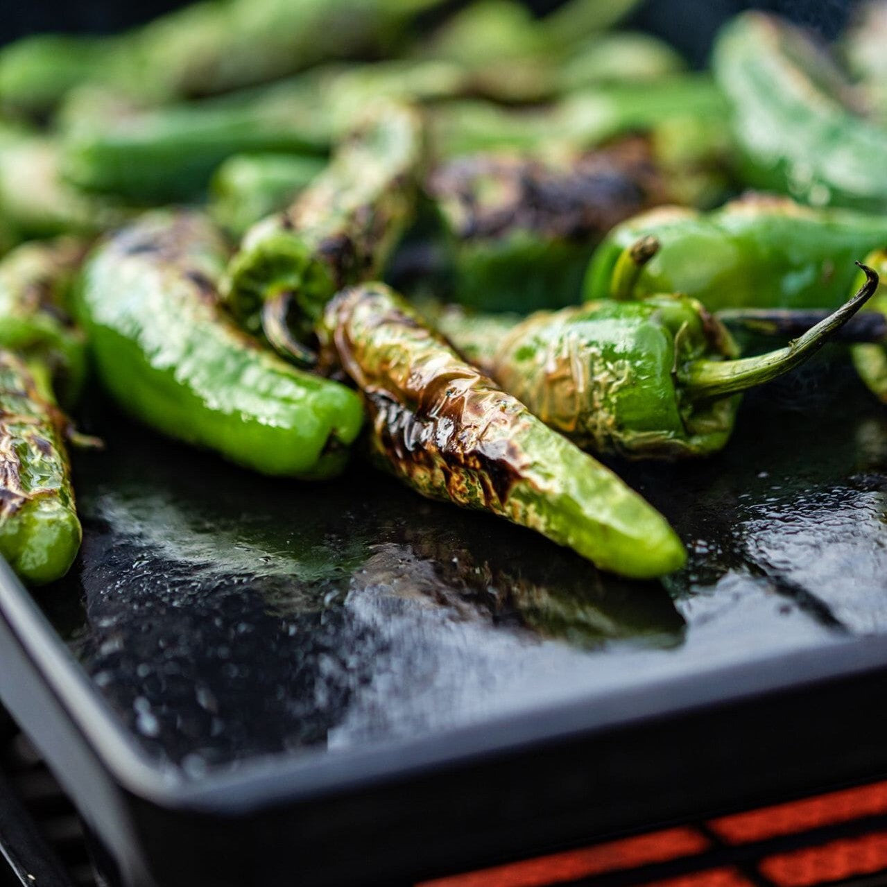 OutdoorChef - PLANCHA L