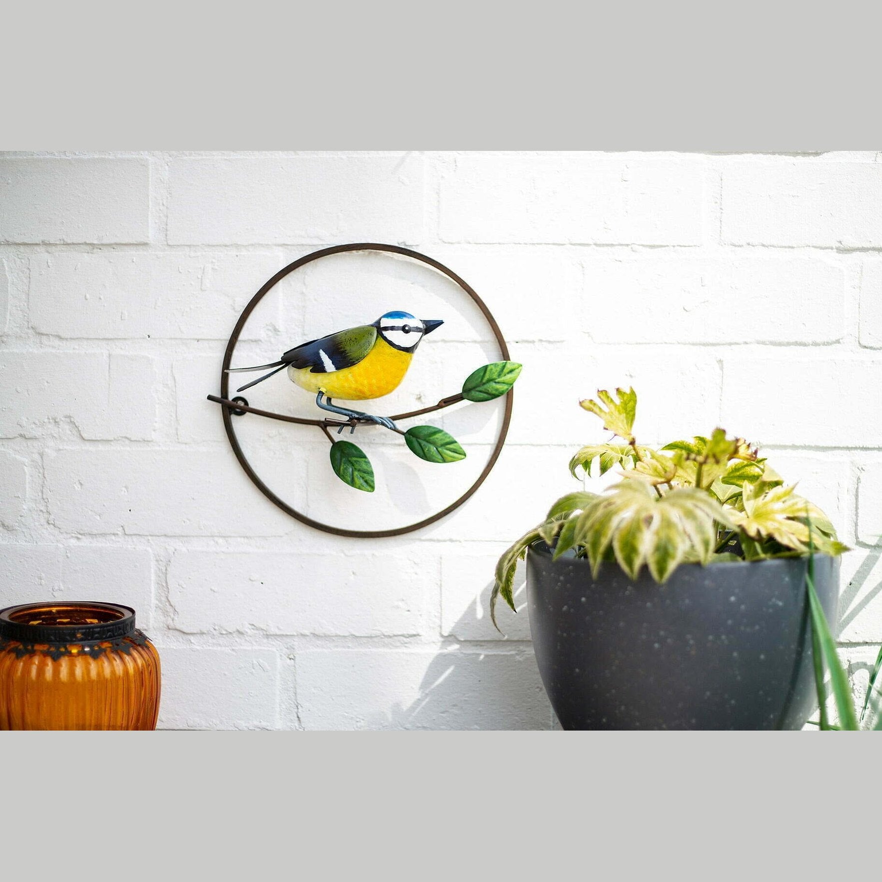 La Hacienda - Perching Blue Tit Garden Wall Art