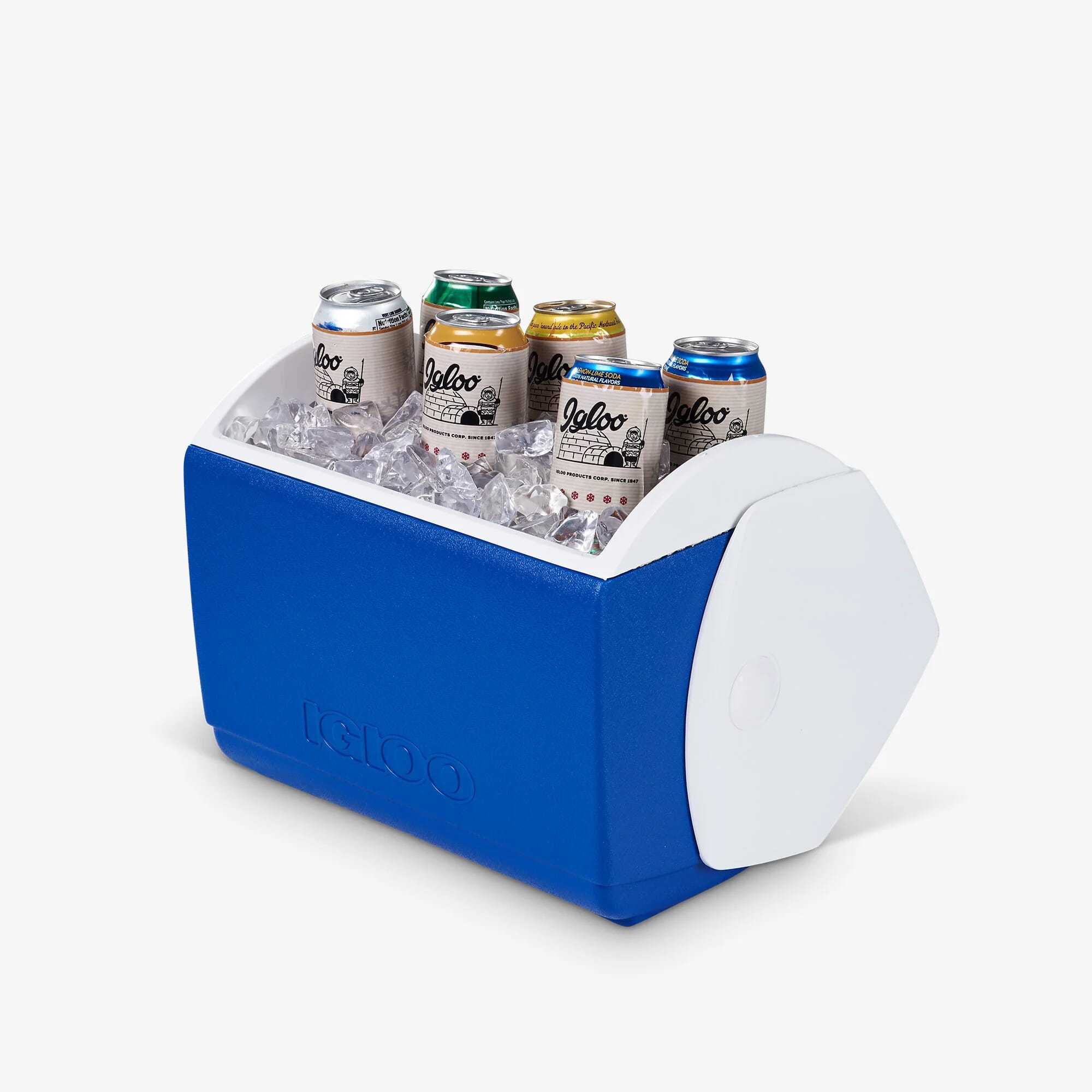 Igloo Playmate Elite