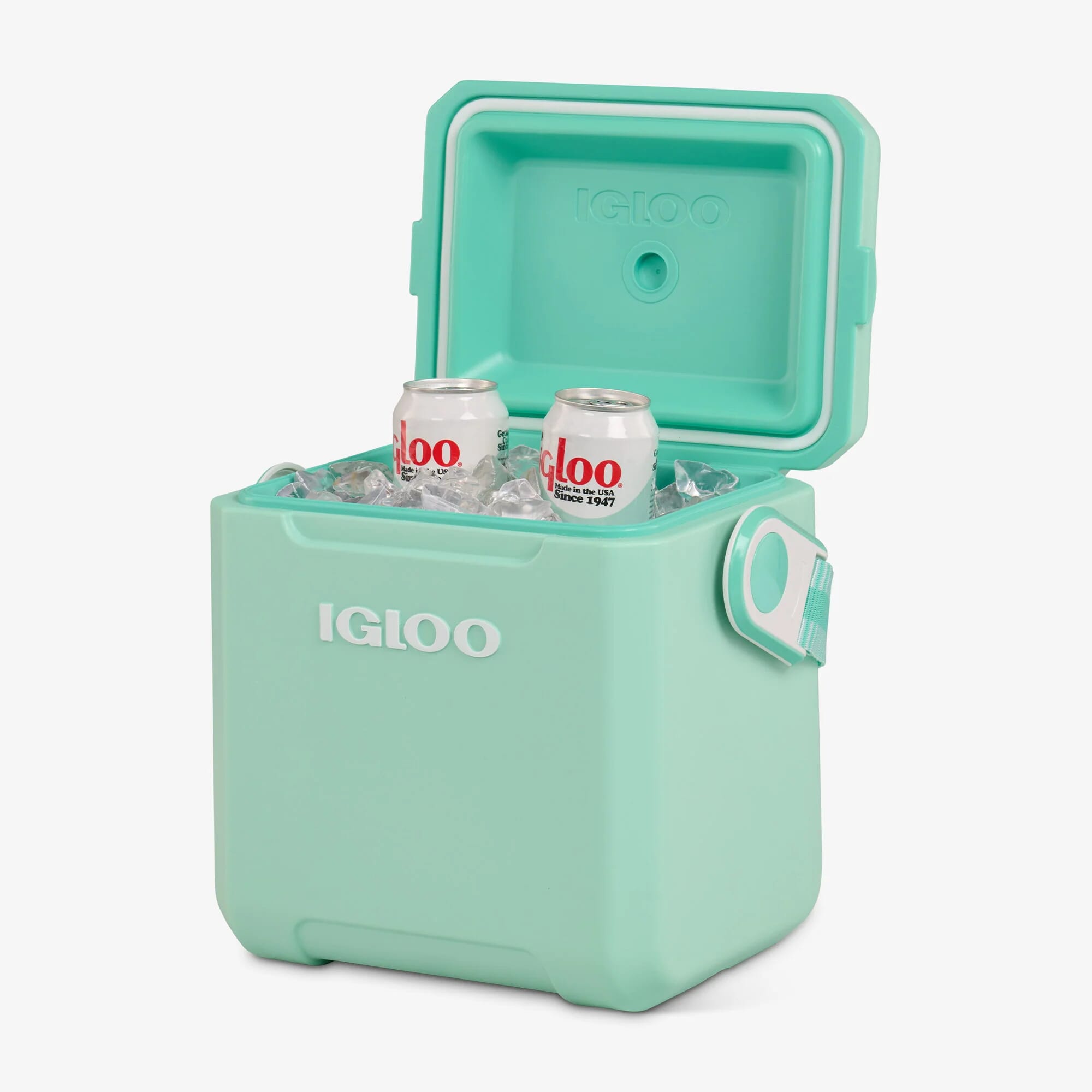 TAG-A-LONG TOO 11 Seafoam10L - EDC