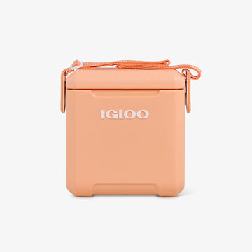 TAG-A-LONG TOO 11, PASSIVE Apricot - EDC