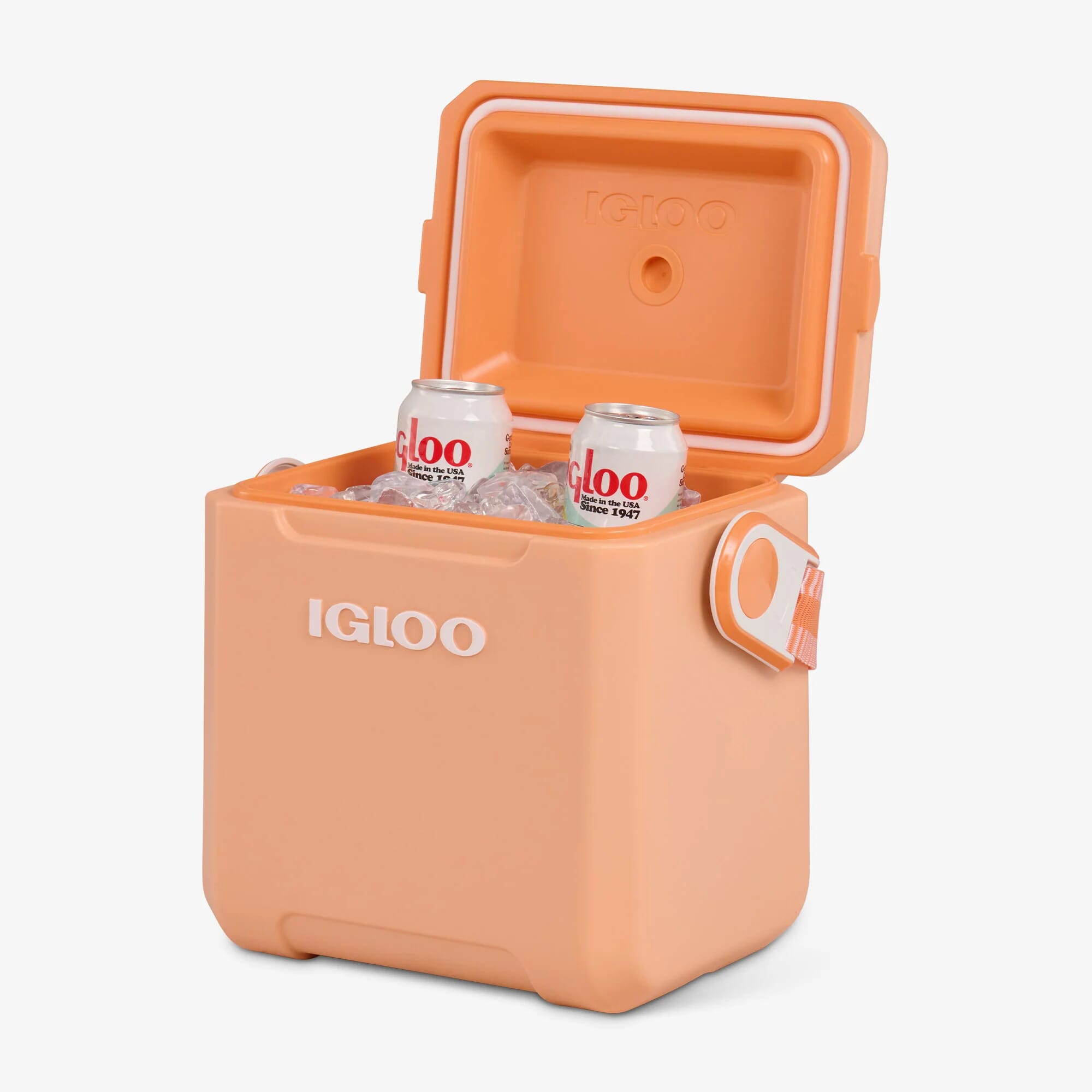 TAG-A-LONG TOO 11, PASSIVE Apricot - EDC