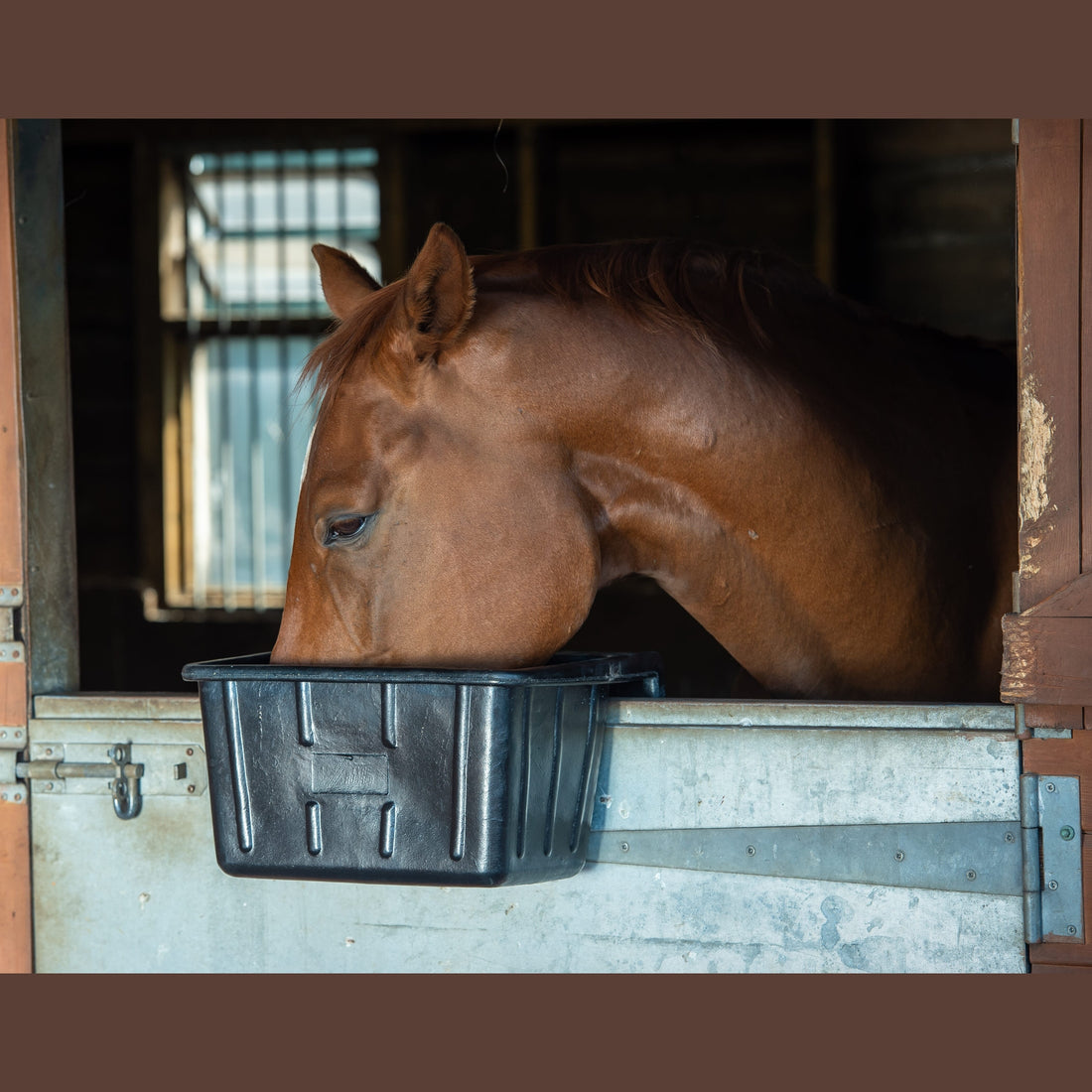 Tyre Rubber Manger & Troughs - Hanging Portable