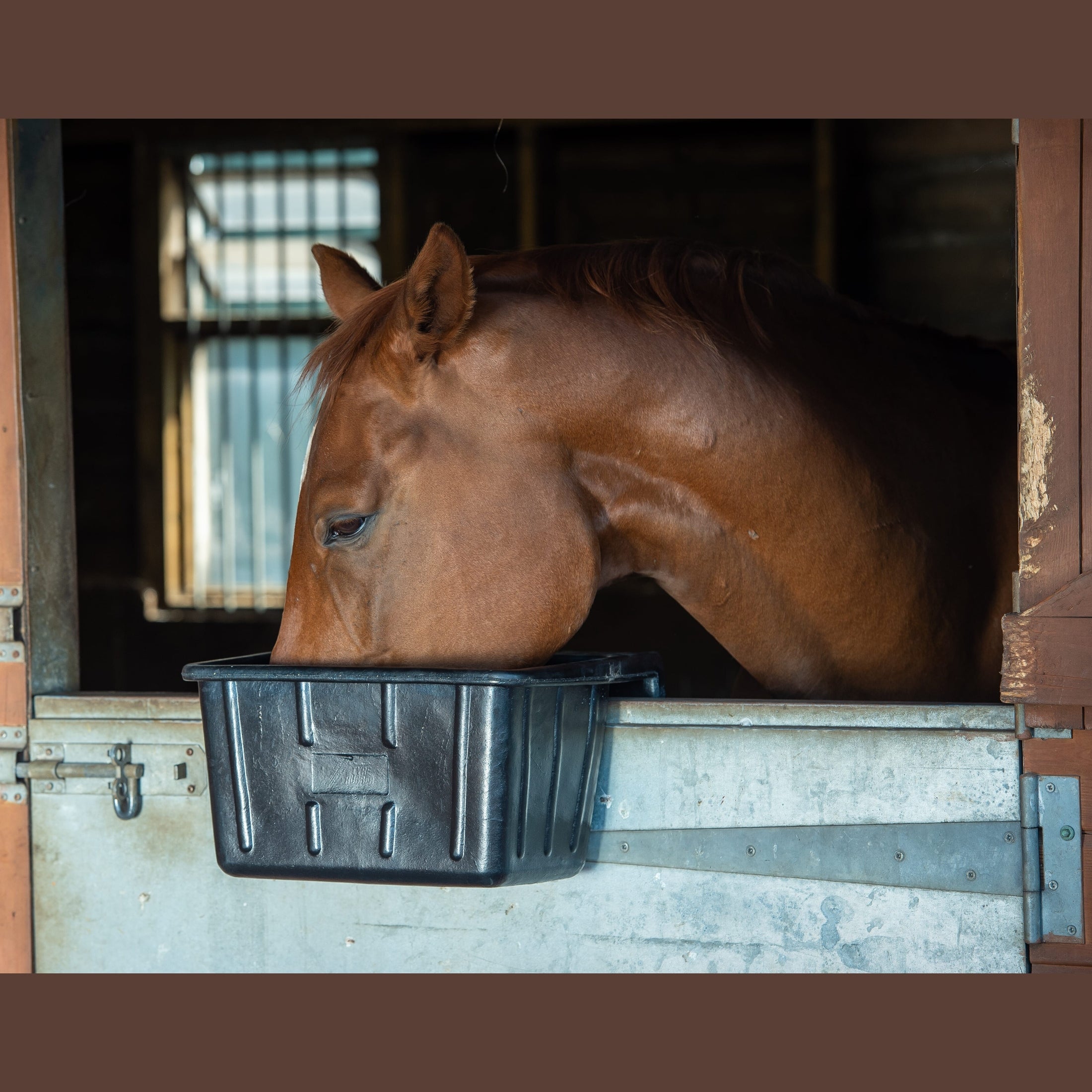Tyre Rubber Manger & Troughs - Hanging Portable