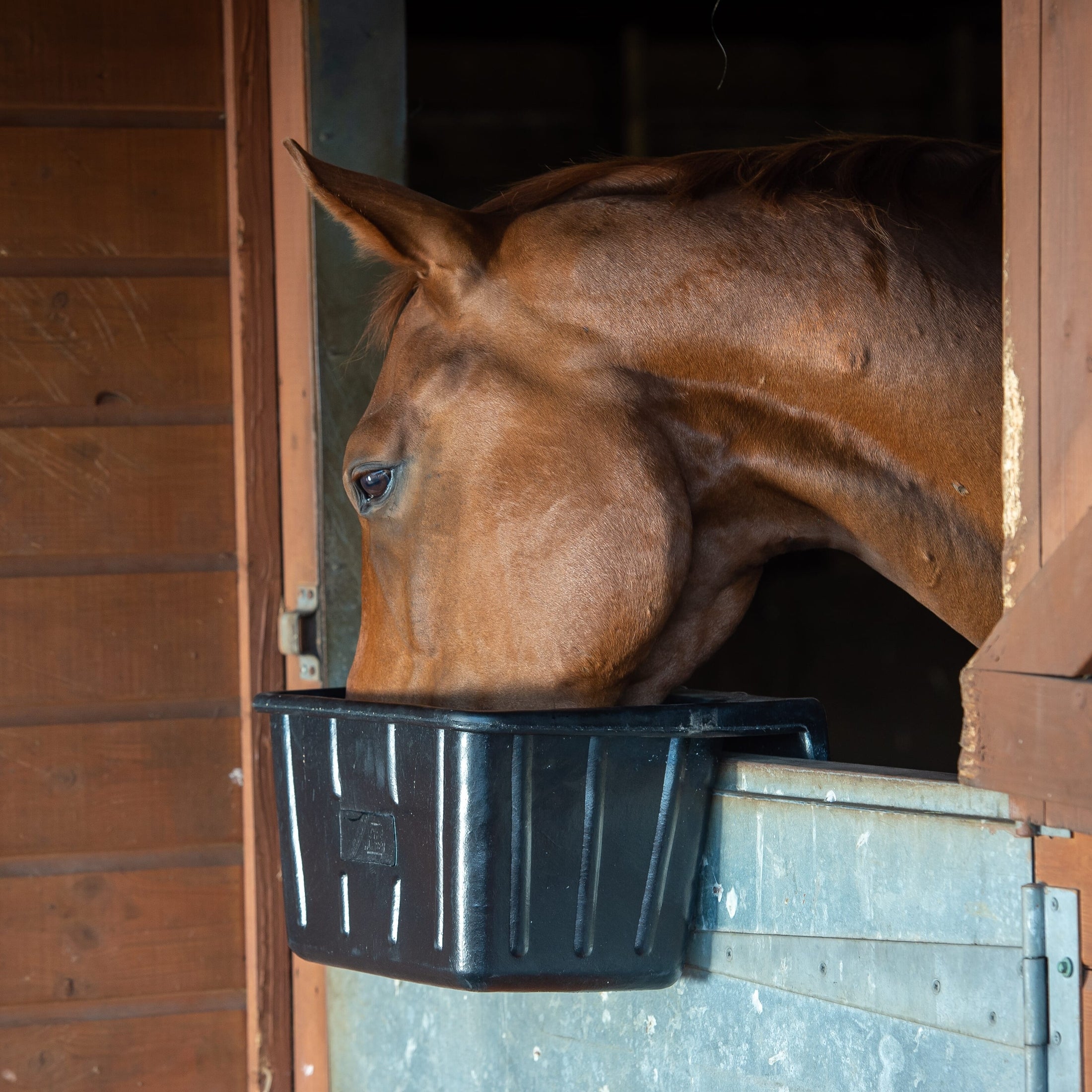 Tyre Rubber Manger & Troughs - Hanging Portable