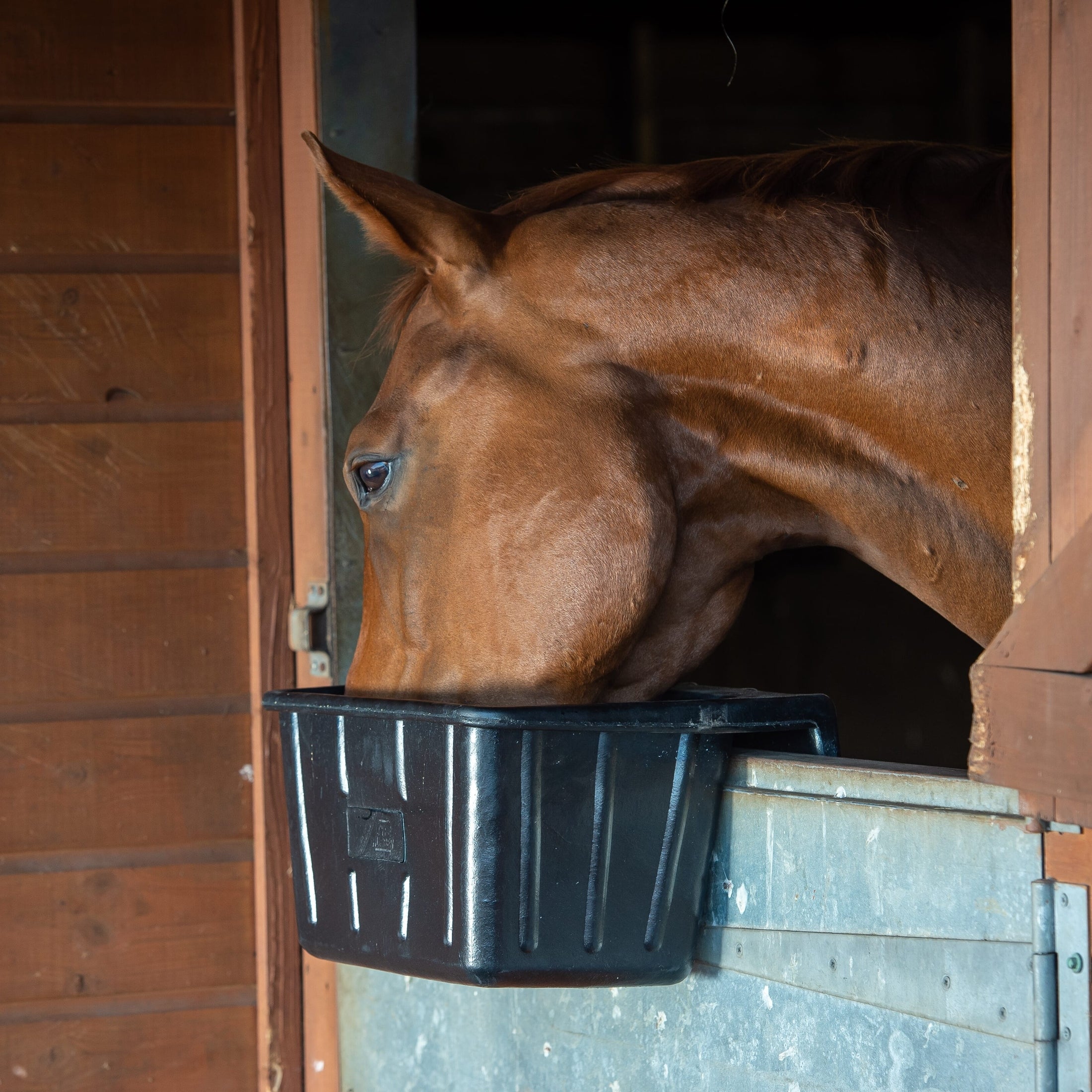 Tyre Rubber Manger & Troughs - Hanging Portable