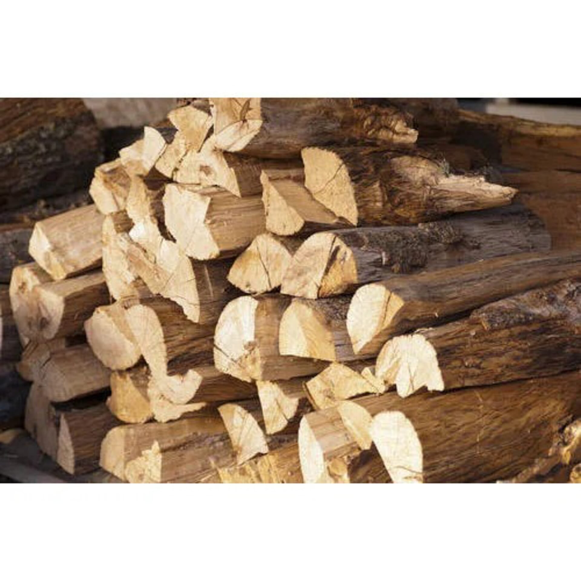 Bad Axe Firewood - Ash 40l Sack Approx 15kg ehdxb