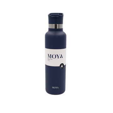 Black Sea 700ml Stainless Steel Water Bottles Spout