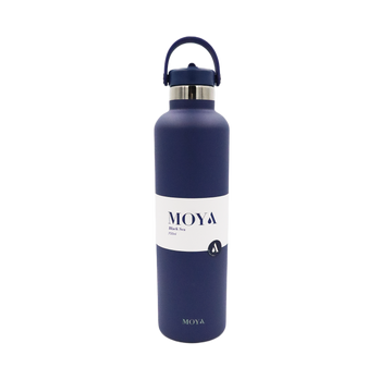 Black Sea 700ml Stainless Steel Water Bottles Straw