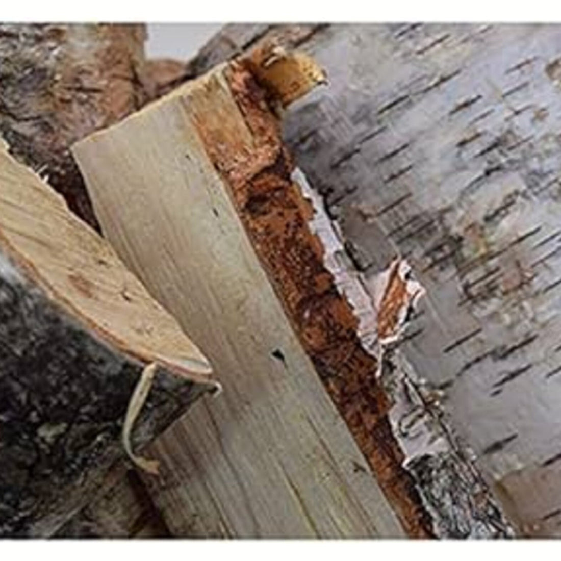 Bad Axe Birch Firewood 21l