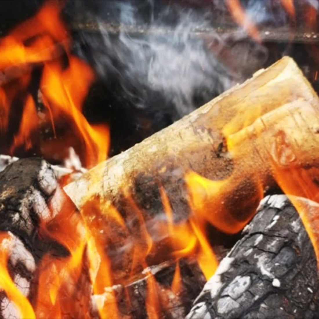 Bad Axe 21l Beech Firewood