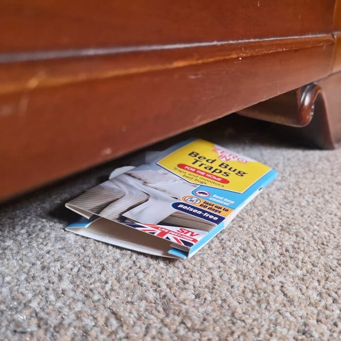 STV Bed Bug Killer Kit