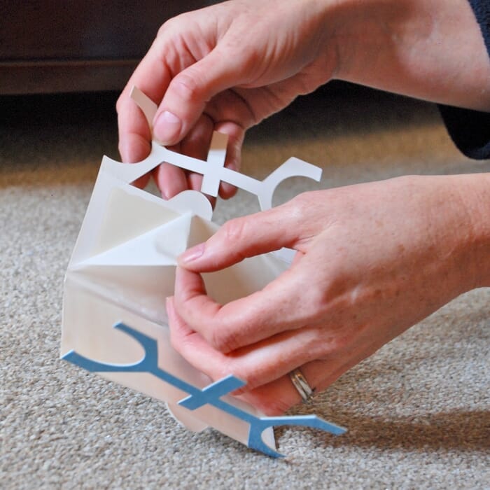 STV Bed Bug Killer Kit