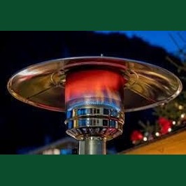 PureHeat Mushroom Style Gas Patio Heater In Stainless Steel ehdxb