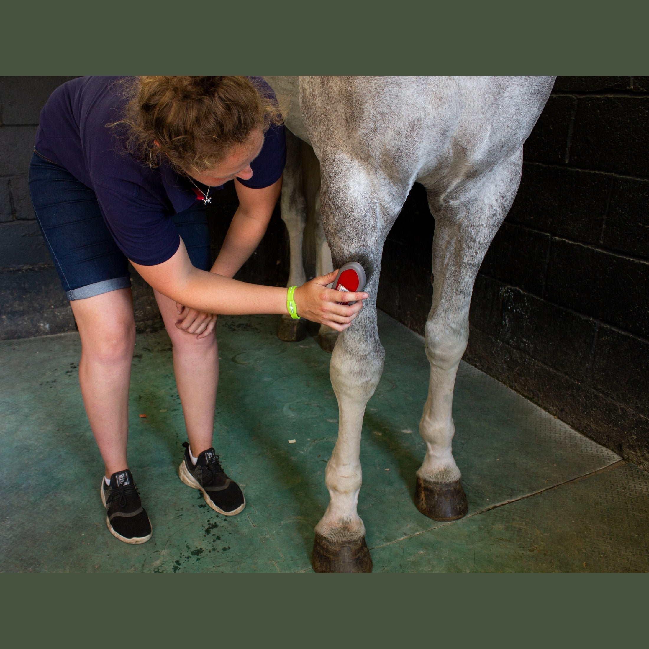 Grooming  - Body brush