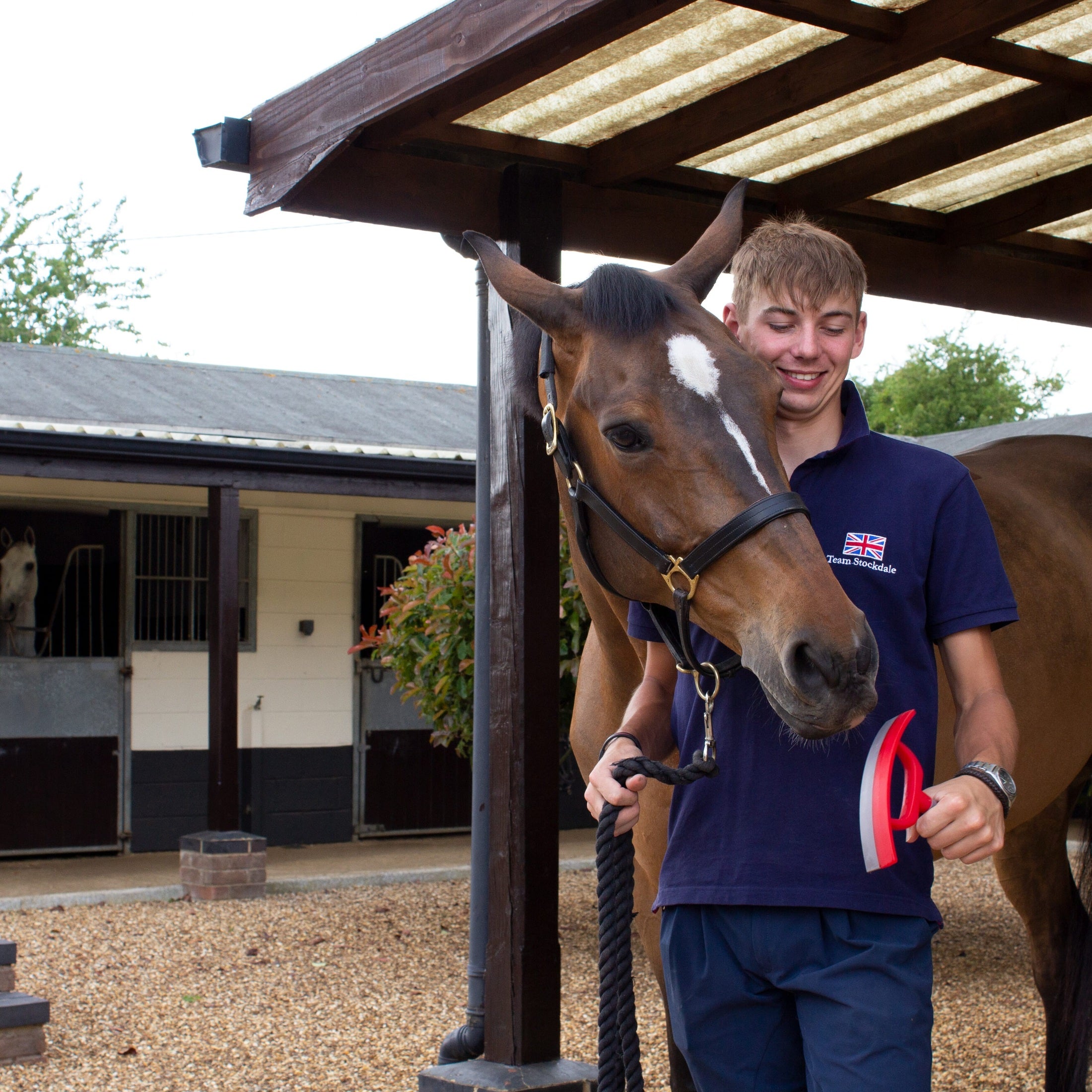 Grooming  - Sweat Scraper