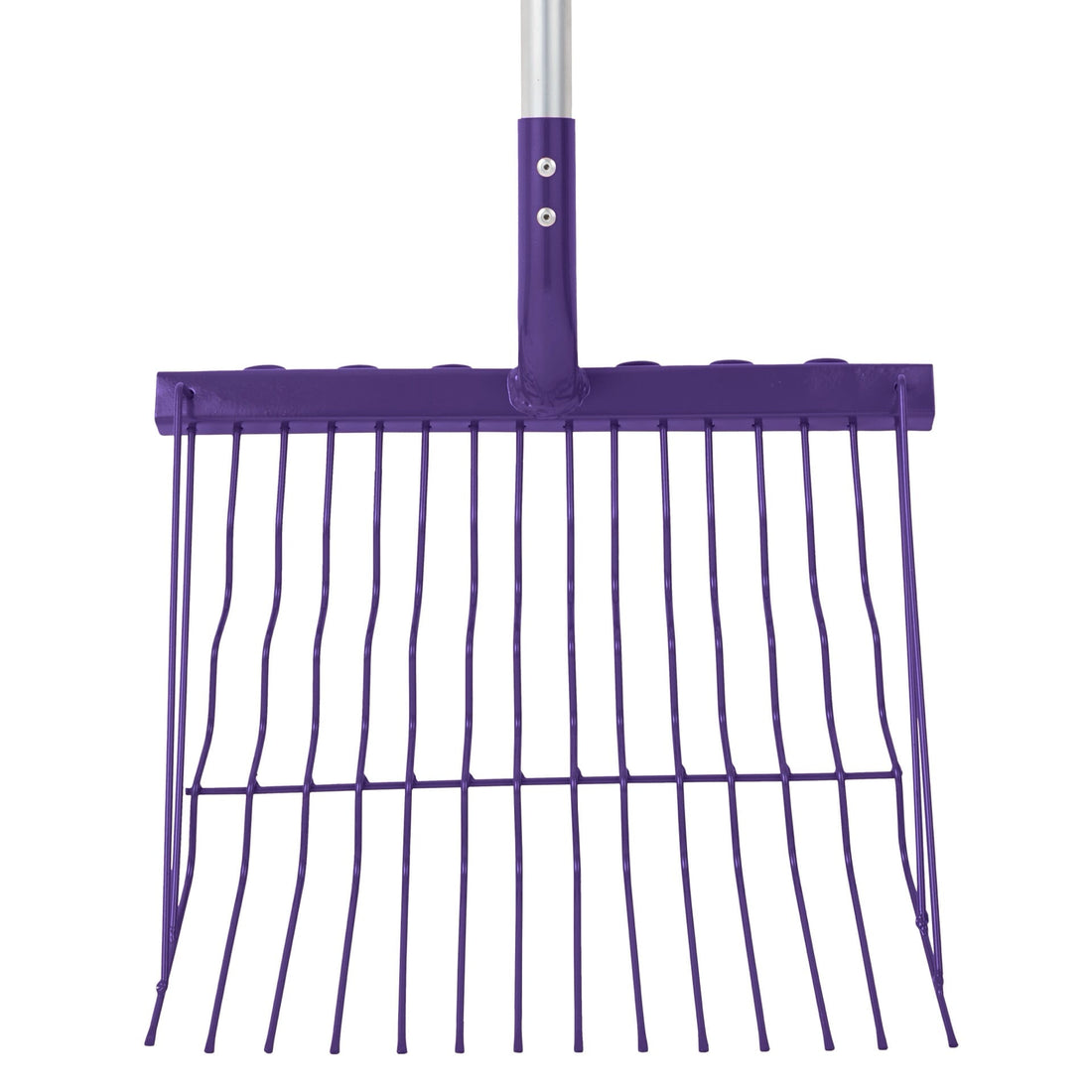 Riddler Straight Handle - Purple (Straight Handle)