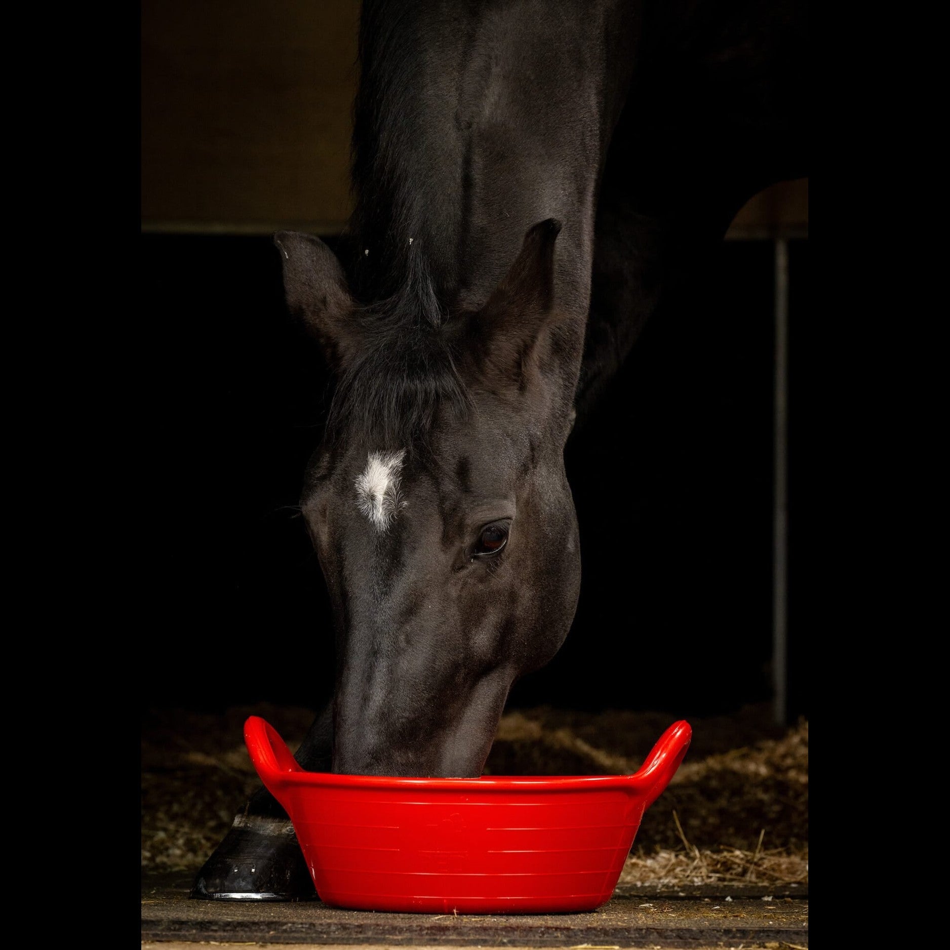 Gorilla Plas - Gorilla Plas Medium Skip -Red