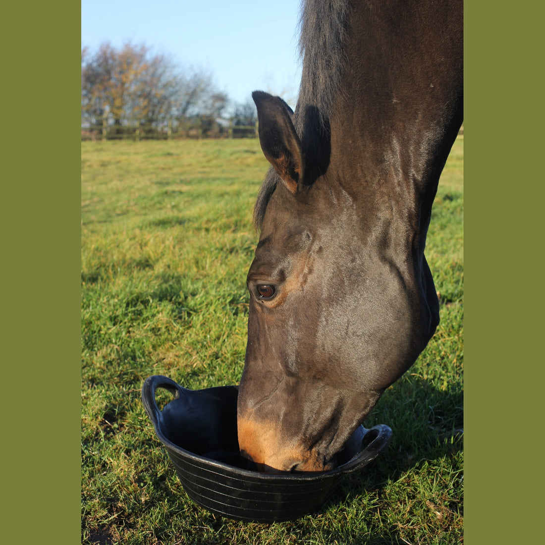 Tyre Rubber Baskets & Skips - Medium