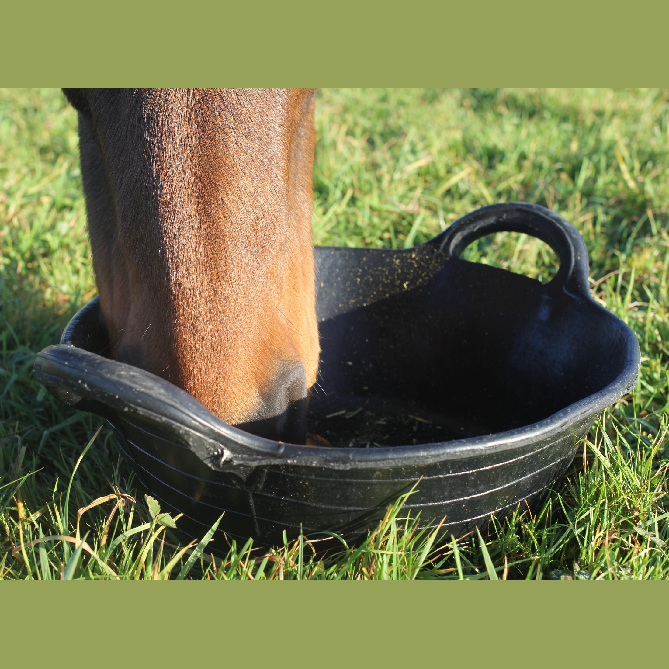 Tyre Rubber Baskets & Skips - Medium