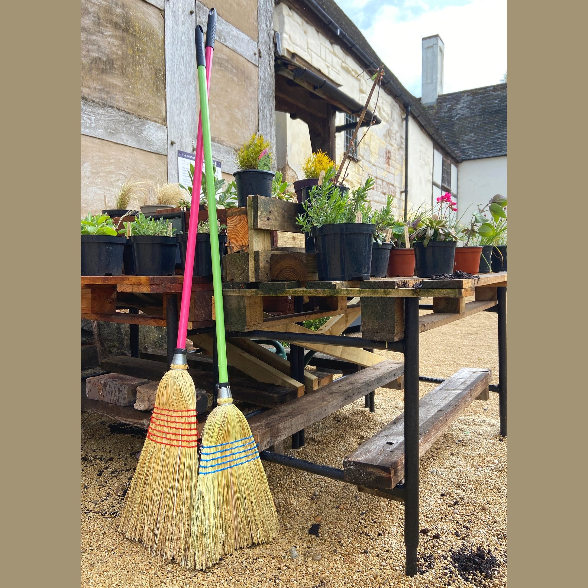 Red Gorilla - Corn Brooms - Standard new 120cm Handle Pistachio ehdxb
