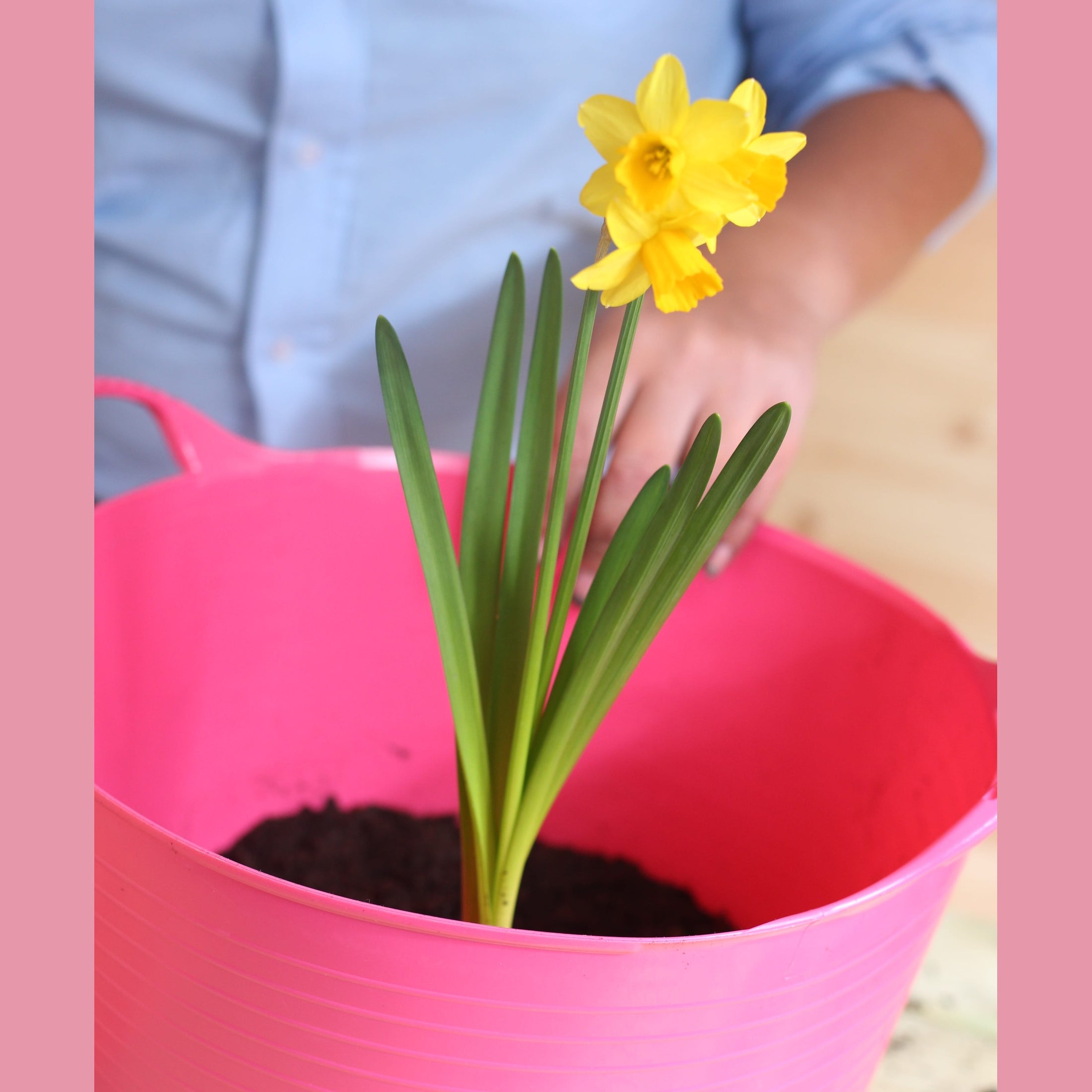 Gorilla Tubs & Recycled Black Tubs - 14L -Pink
