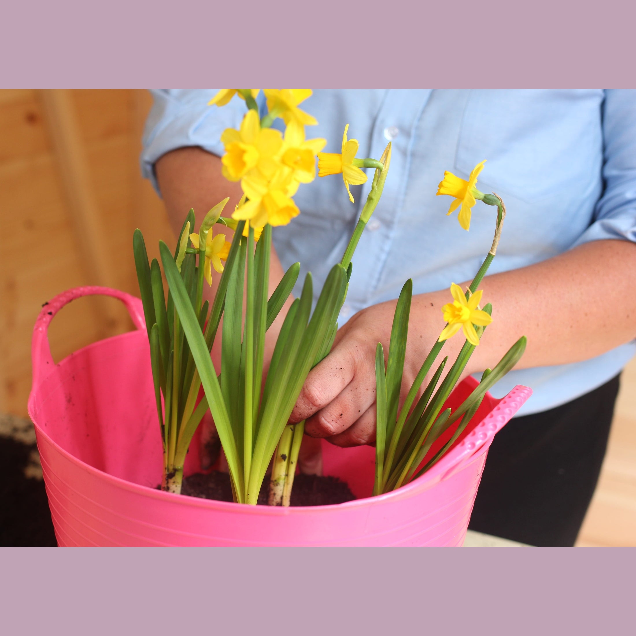Gorilla Tubs & Recycled Black Tubs - 14L -Pink