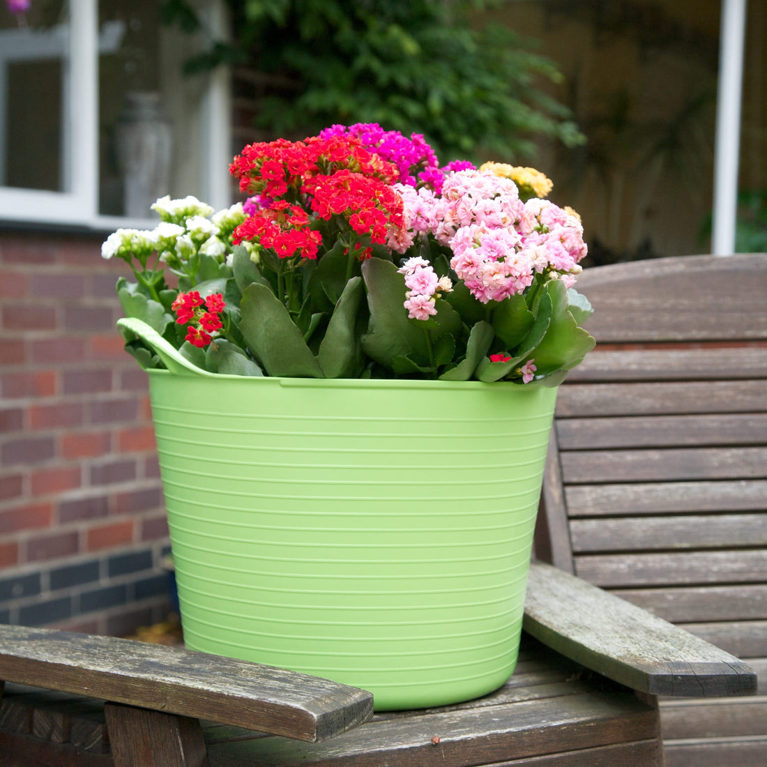 Gorilla Tubs & Recycled Black Tubs - 14L -Pistachio