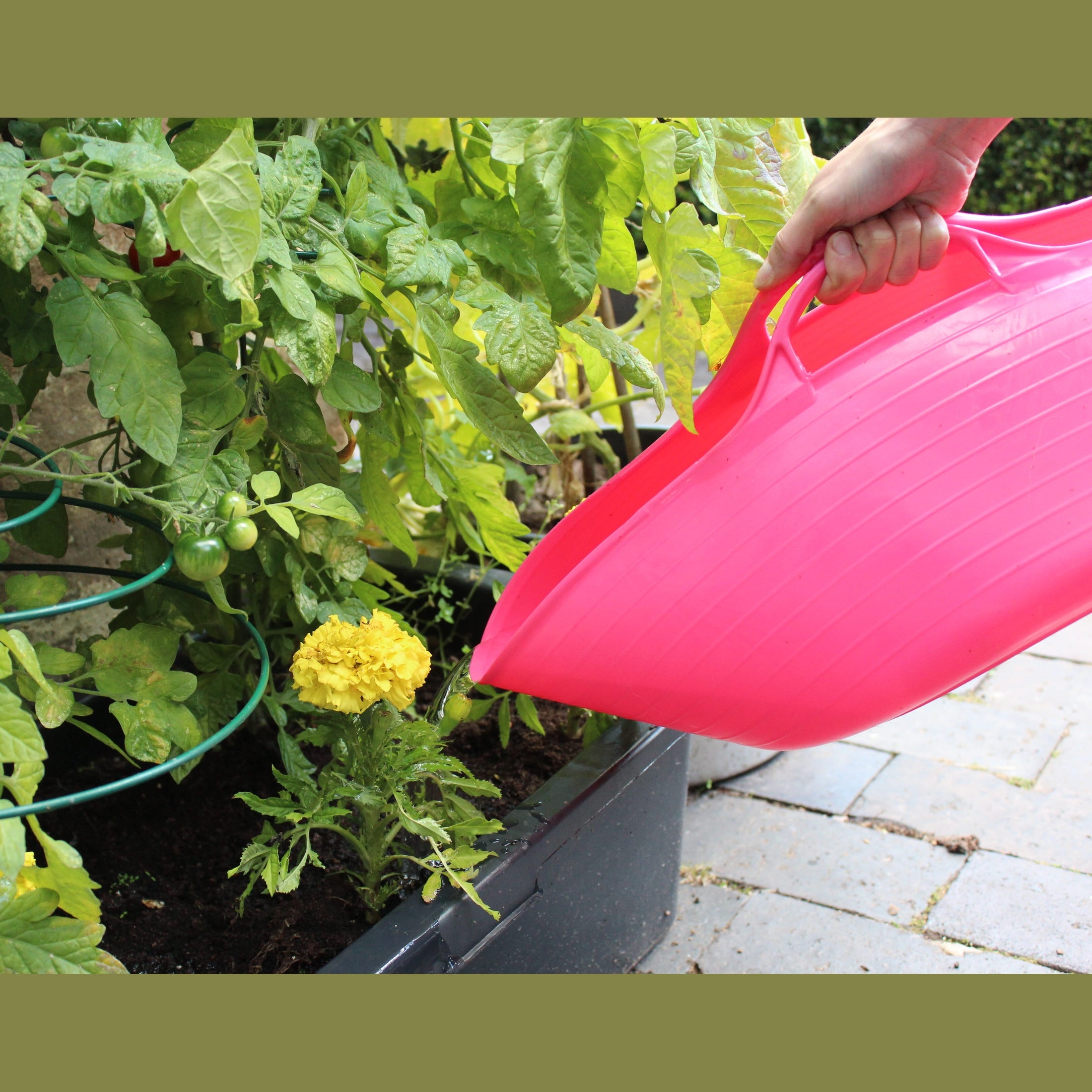Tubs & Recycled Black Tubs - Small Shallow 15L Pink