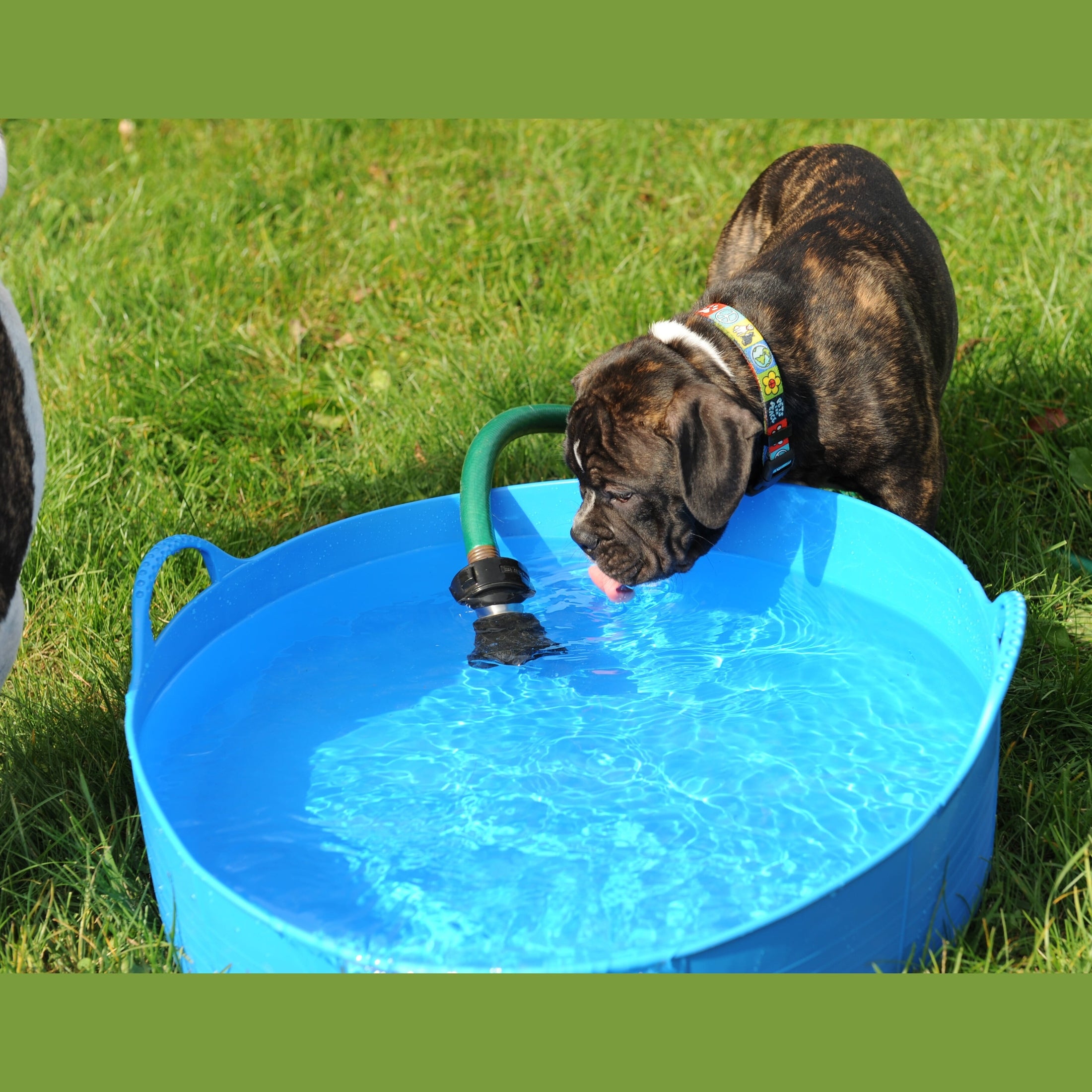 Gorilla Tubs & Recycled Black Tubs - Large Shallow 35L- Blue