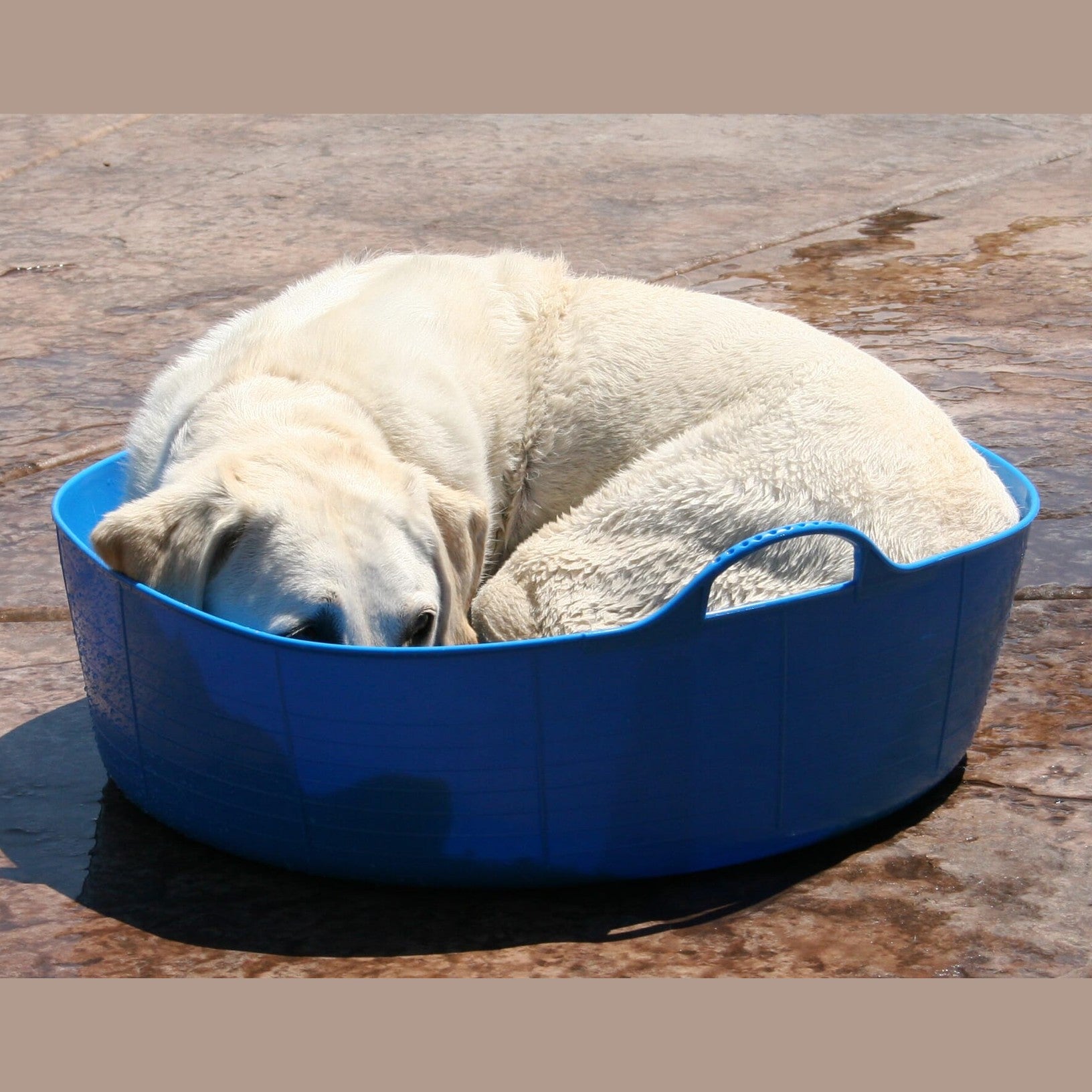 Gorilla Tubs & Recycled Black Tubs - Large Shallow 35L- Blue