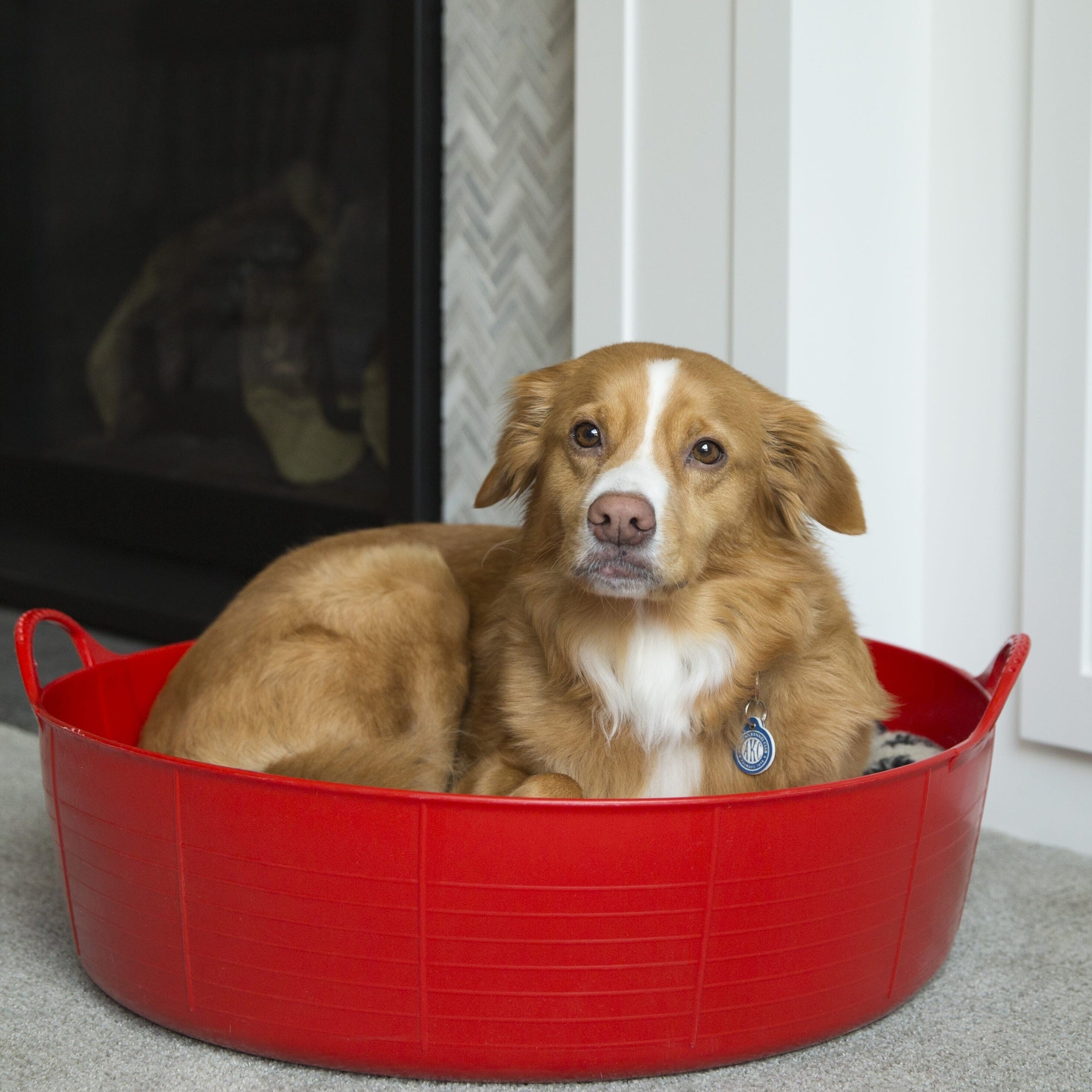 Tubs & Recycled Black Tubs - Large Shallow 35L Red