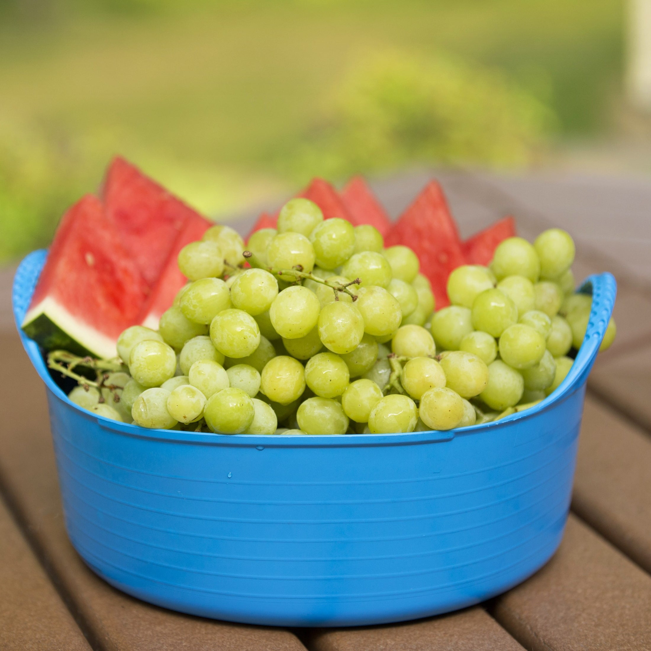 Gorilla Tubs & Recycled Black Tubs - Mini Shallow 5L -Blue