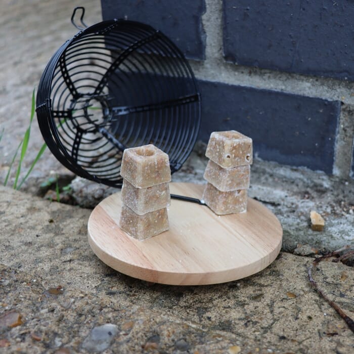 STV - Ready-Baited Live Multi-Catch Mouse Trap - Black