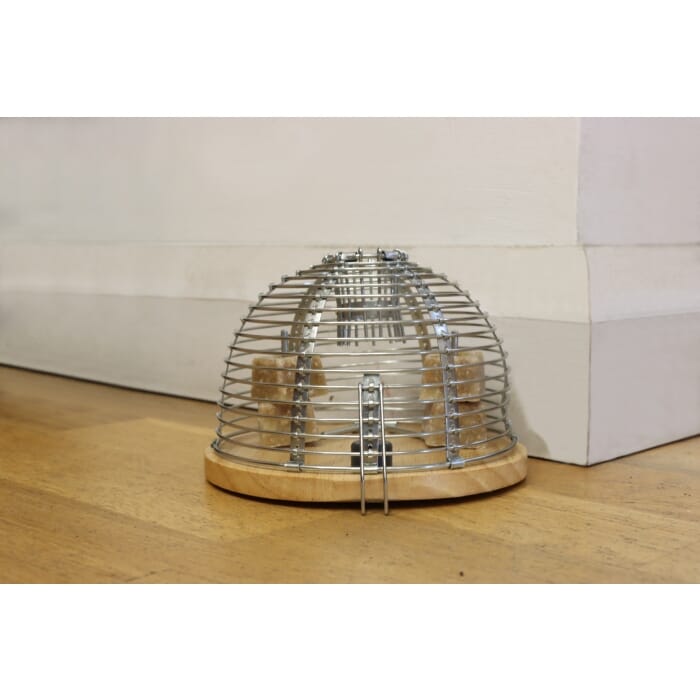 STV  Ready-Baited Live Multi-Catch Mouse Trap - 2 Colours