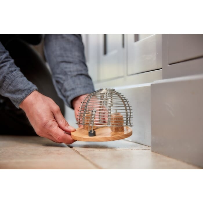 Stv Ready-Baited Live Multi-Catch Mouse Trap - 2 Colours ehdxb