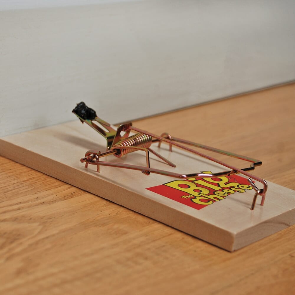 Stv Wooden Rat Trap - Twinpack ehdxb