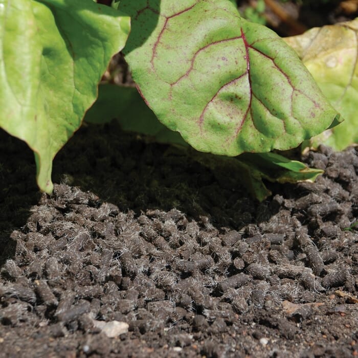 Stv Slugs Away® Wool Pellets - 3l ehdxb