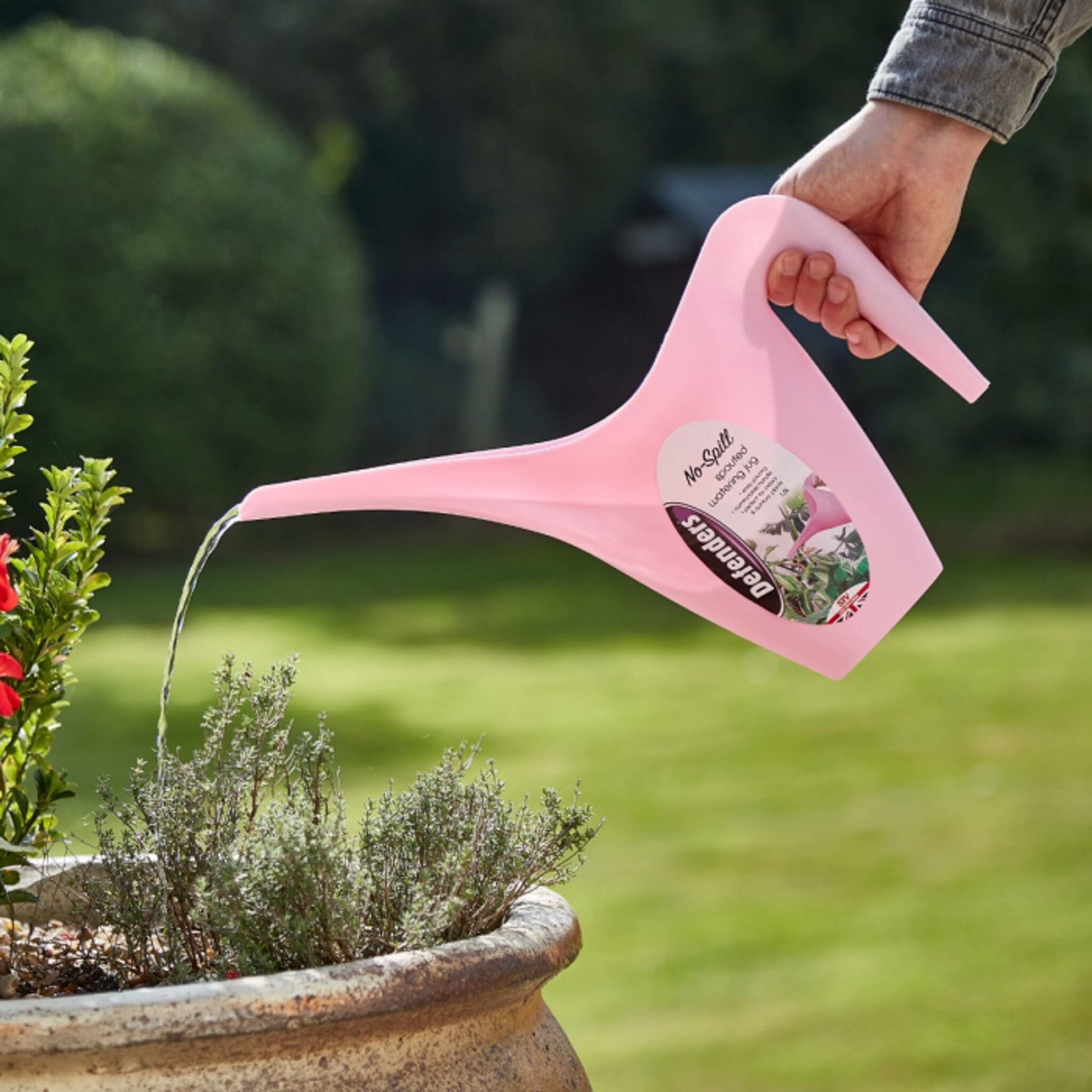 Stv No-Spill Spouted Watering Jug - 1.5l - Assorted Colours ehdxb