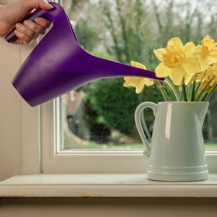 Stv No-Spill Spouted Watering Jug - 1l - Assorted Colours ehdxb
